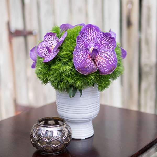 Purple orchids in a white vase with a green mossy base