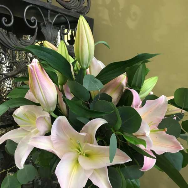 Pink and white lilies arranged in a glass vase