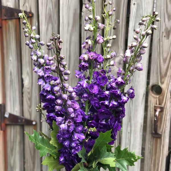 Tall purple flower arrangement in a green vase with leafy accents