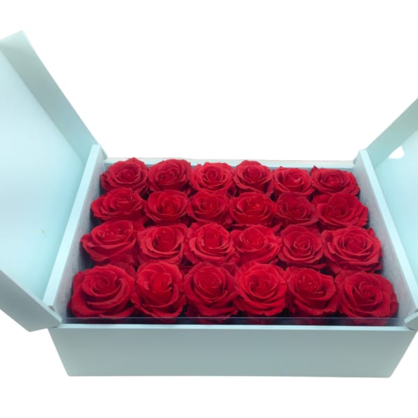 Everlasting Roses: 24 everlasting red roses in aqua wooden box
