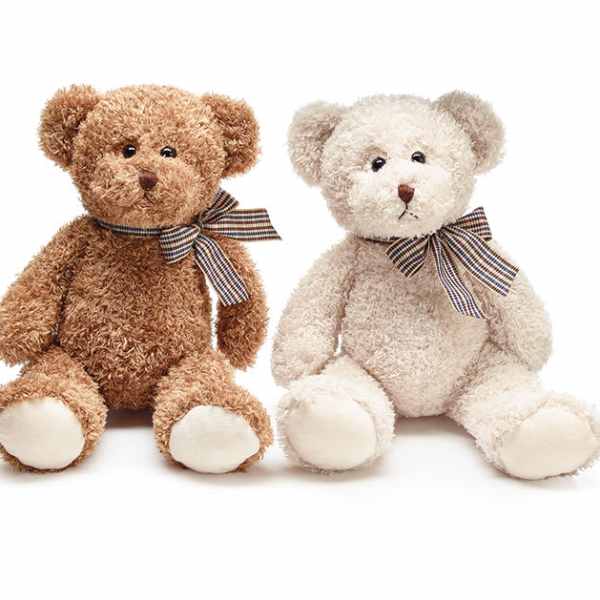 Two plush teddy bears with plaid bows on a white background