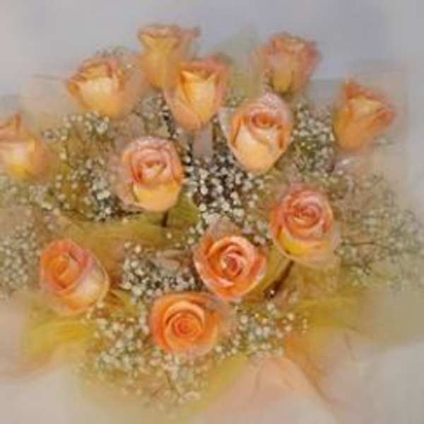 Hong Kong Style Roses - Peach