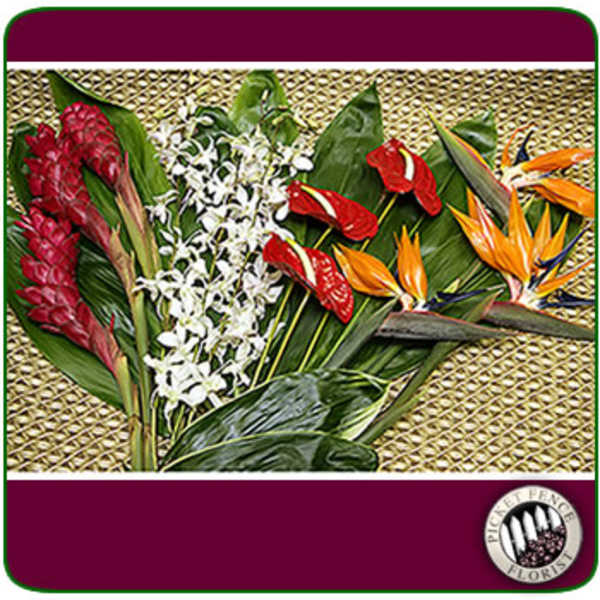 Tropical flowers with red, white, and orange blooms on large green leaves