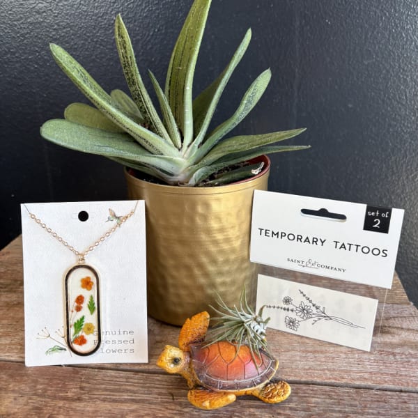 Potted succulent with jewelry and temporary tattoo packaging