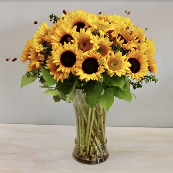 Sunflower Burst - WeHo
