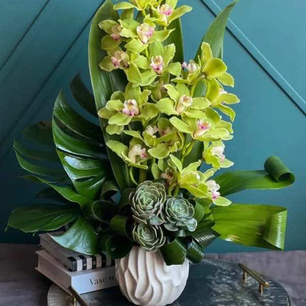 Green orchid arrangement in a white vase with succulent accents