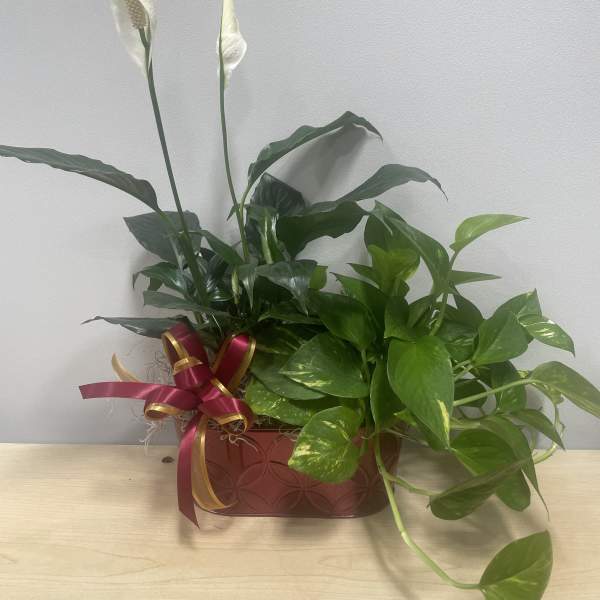 Pretty Planter