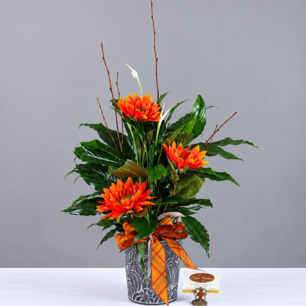 Orange flowers in a patterned vase with a plaid ribbon
