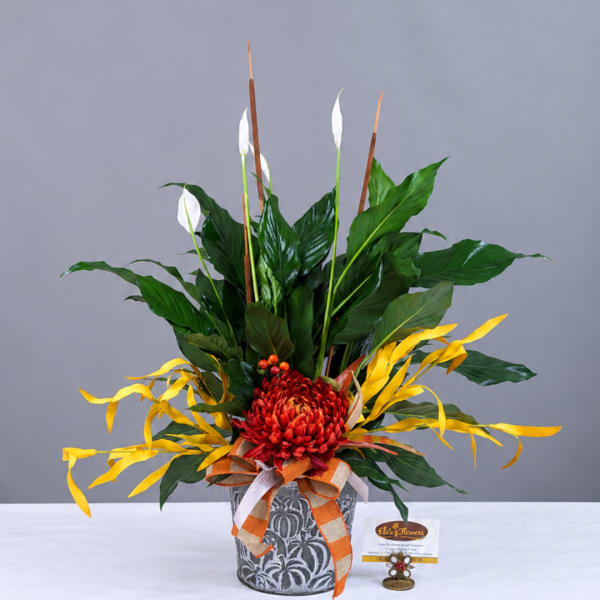 Red chrysanthemum arrangement in a patterned pot with white blooms and yellow ribbon accents
