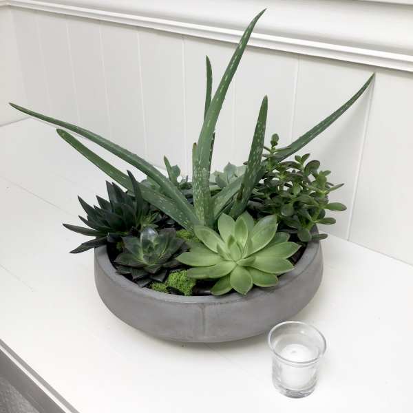Succulent arrangement in a round gray planter with a small glass candle nearby