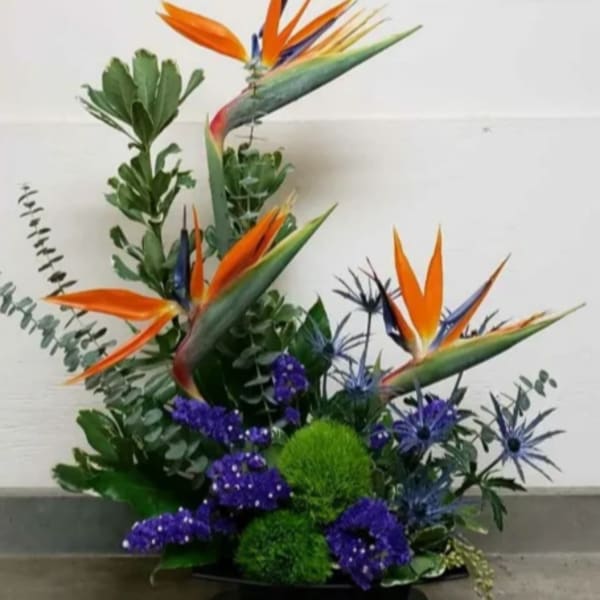 Tall tropical arrangement with orange bird of paradise and purple and green accent flowers in a low container