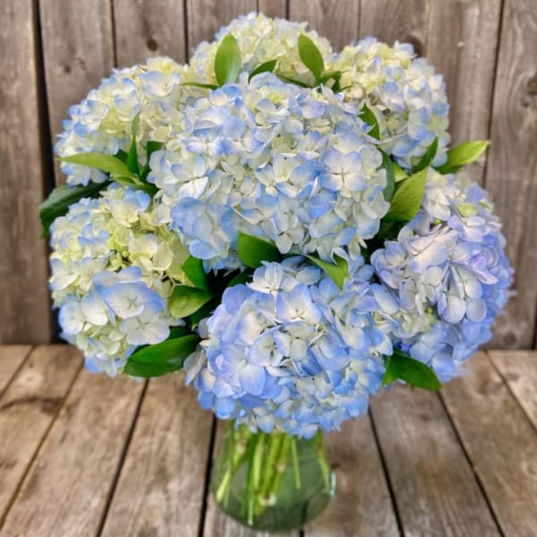 Blue and white hydrangea bouquet in a clear glass vase
