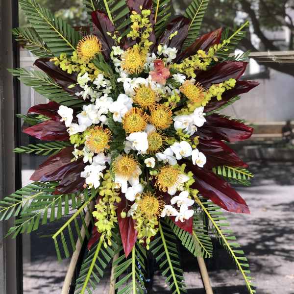 Tropical Medley - W60080