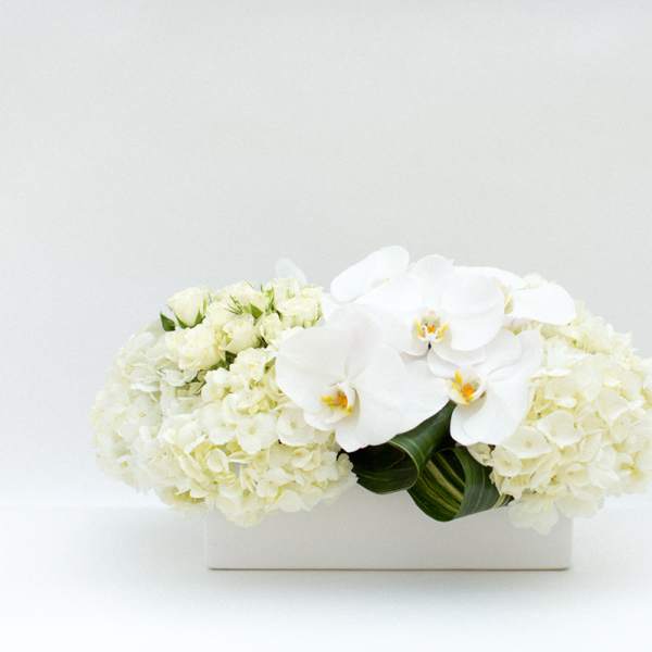 White orchid and hydrangea arrangement in a rectangular white vase