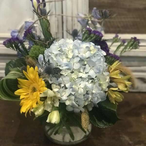 Blooming blue