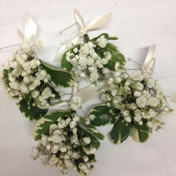 White baby’s breath corsages with cream ribbon and variegated leaves
