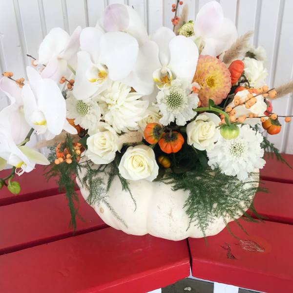White orchid and rose arrangement in a white pumpkin container