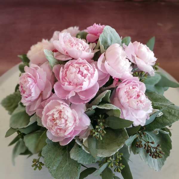 Bouquet of pale pink peonies with silvery green foliage