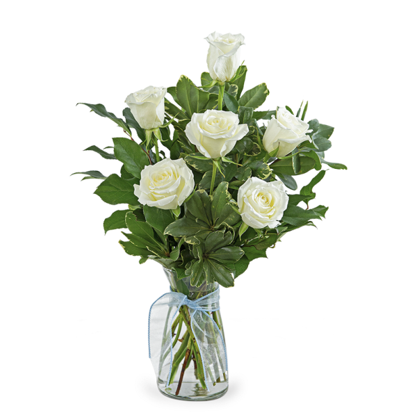 White roses in a glass vase with a blue ribbon