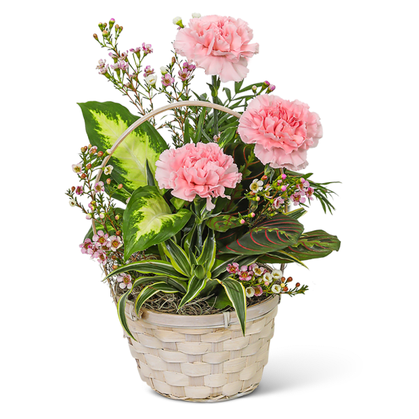 Dish Garden with Pink Florals