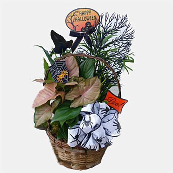 Halloween Dishgarden
