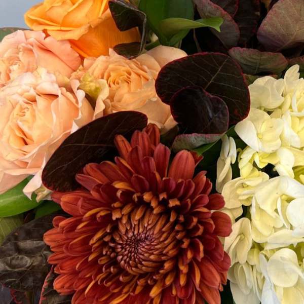 Close-up of peach roses, rust chrysanthemum, and white hydrangeas in a clustered arrangement