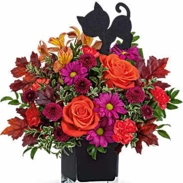 Colorful floral arrangement in a square glass vase with black cat silhouettes