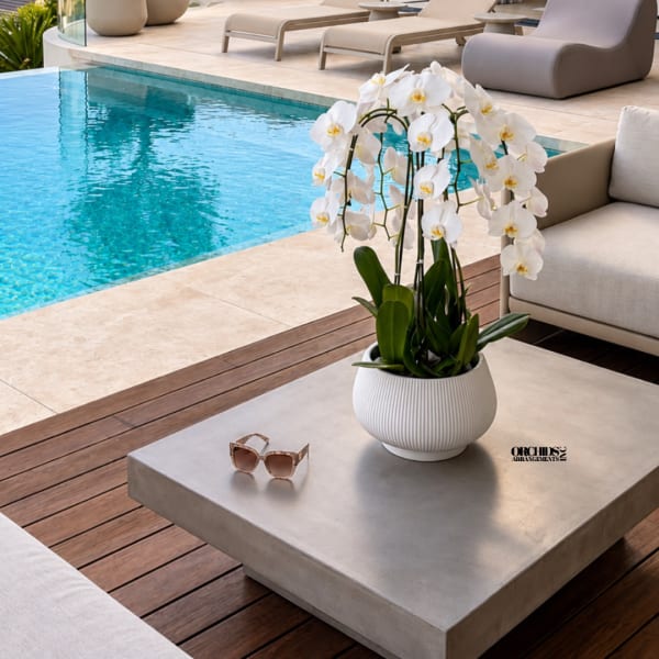 White orchid arrangement in a ribbed pot beside a pool, with sunglasses on the table