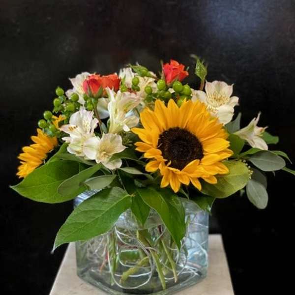 Sunflower and white alstroemeria arrangement in a glass vase