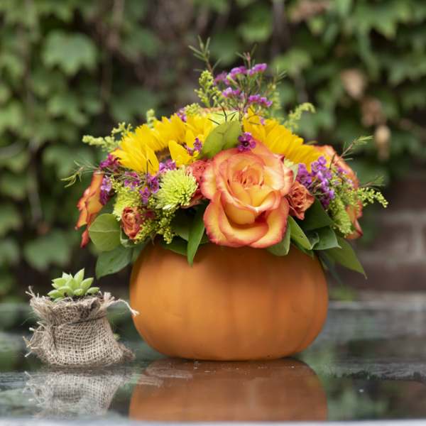 In the Pumpkin Patch