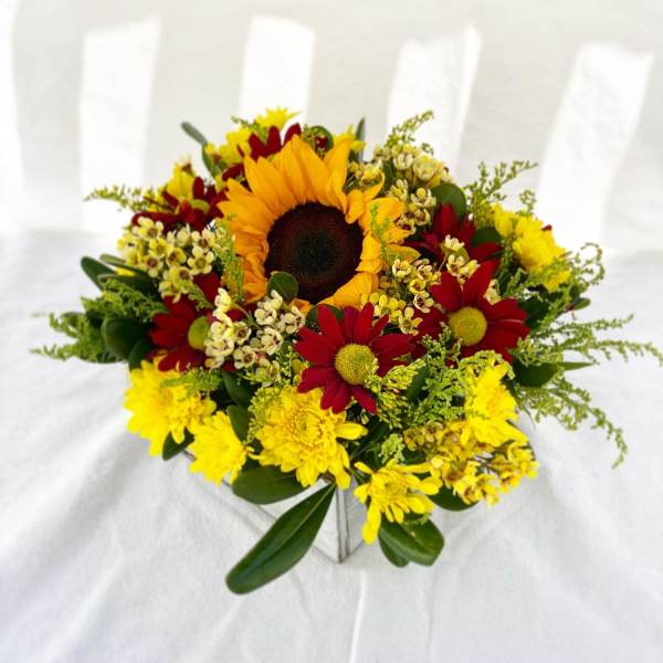 Sunflower and daisy bouquet in a square vase