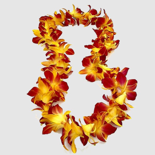 Red and yellow flower lei on a white background