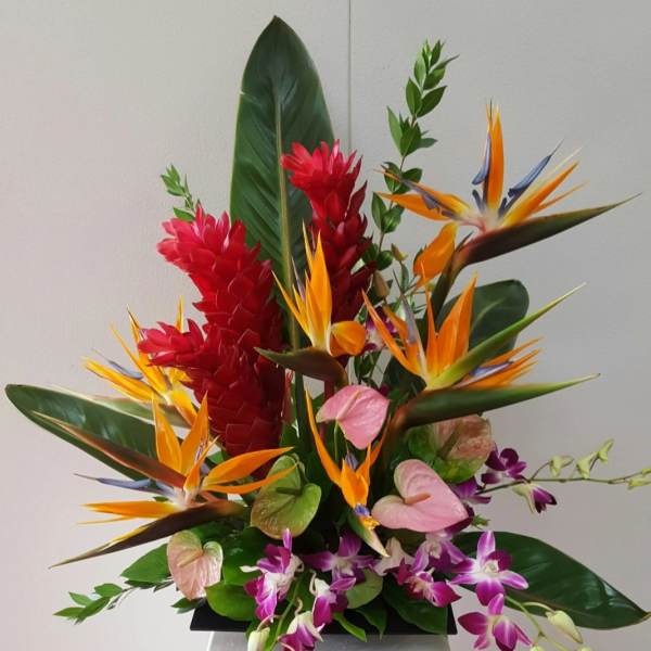 Tropical arrangement with bird of paradise, red ginger, and orchids in a black container