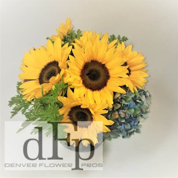 Yellow sunflowers with blue hydrangeas in a clear vase