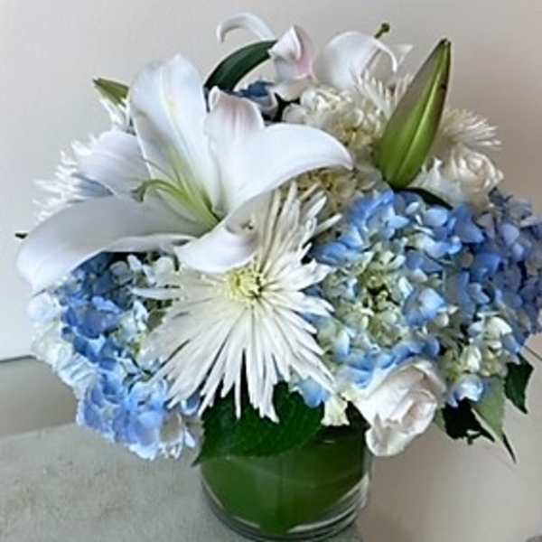 Compact arrangement of white lilies, mums, and roses with blue hydrangeas in a clear glass vase