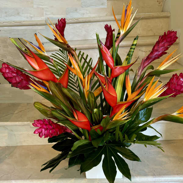 Tropical arrangement with red and orange bird-of-paradise flowers in a white vase