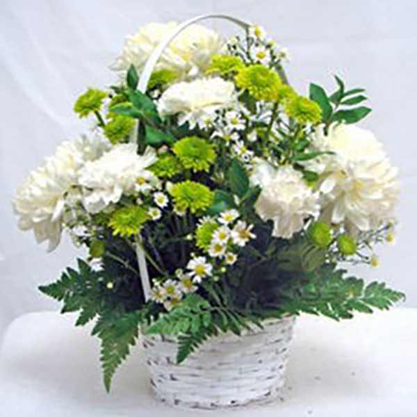 White and green flower basket with carnations, daisies, and button mums in a white woven basket