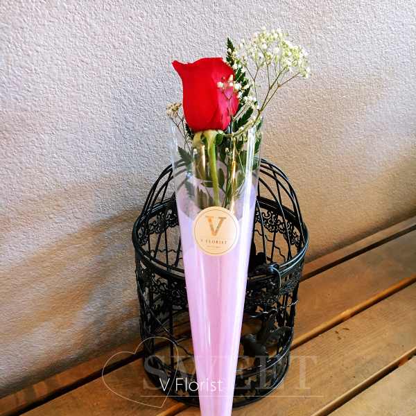 Single red rose with white filler flowers wrapped in a pink cone sleeve.