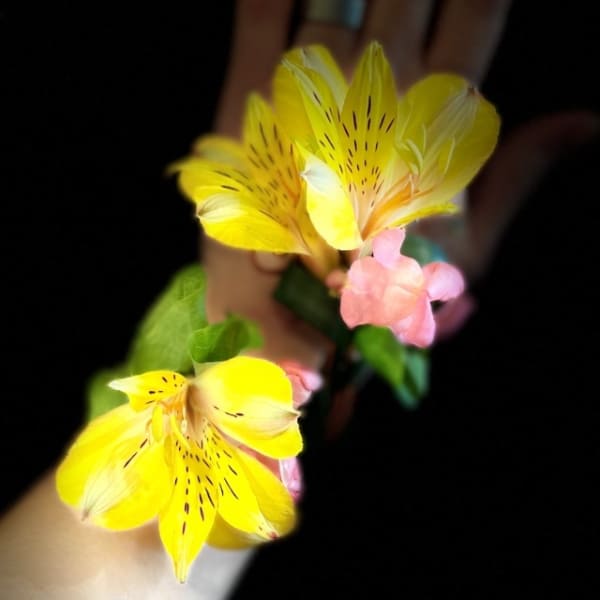 Yellow and pink flowers held in a hand