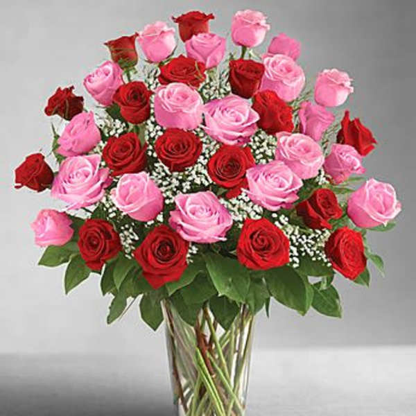Bouquet of red and pink roses in a clear glass vase