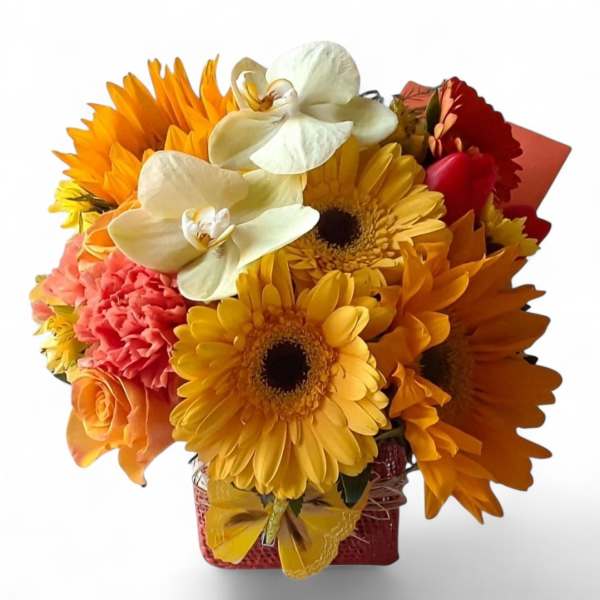 Bright bouquet of sunflowers, orchids, and carnations in a red container