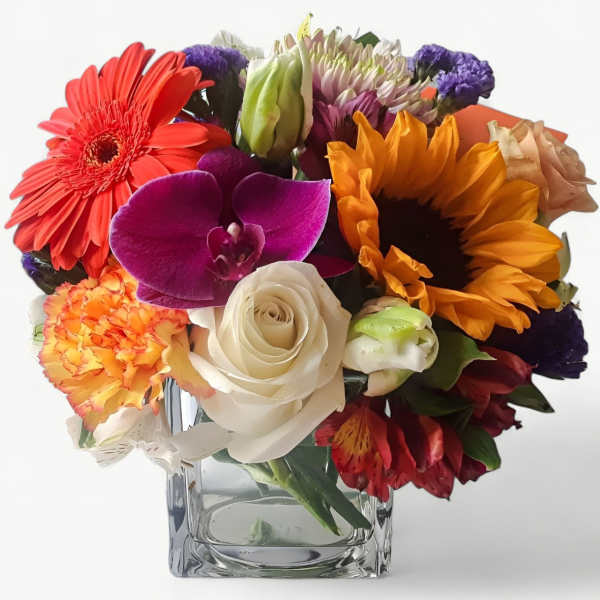 Colorful mixed bouquet with sunflower, orchid, rose, and gerbera daisy in a square glass vase.