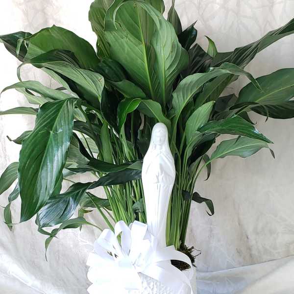 Potted green plant with a white figurine and ribbon bow