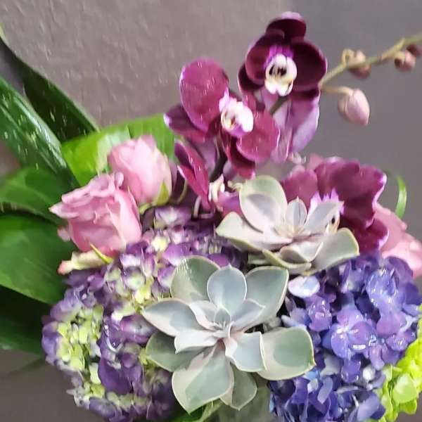 Tall glass vase arrangement with purple orchids, blue hydrangeas, pink roses, and succulents