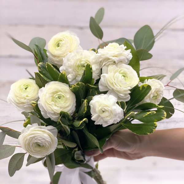 White ranunculus bouquet with greenery and a white ribbon