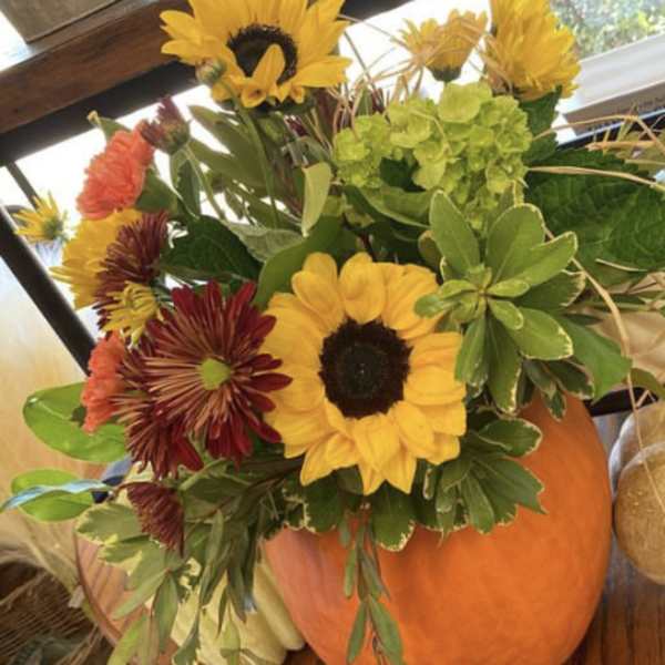 Sunflower and mixed fall bouquet arranged in a pumpkin vase