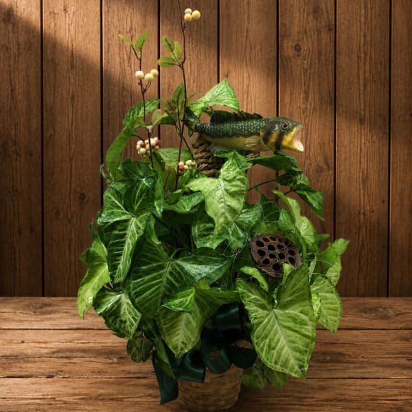 Basket arrangement of green foliage with a fish decoration and dark ribbon