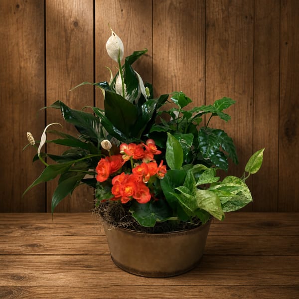 Mixed potted arrangement with white peace lilies and orange flowers in a bronze container