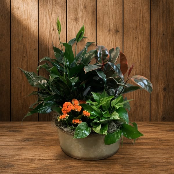 Potted green plant arrangement with small orange flowers in a round container