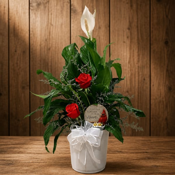 Red roses and a white peace lily in a white pot with a ribbon